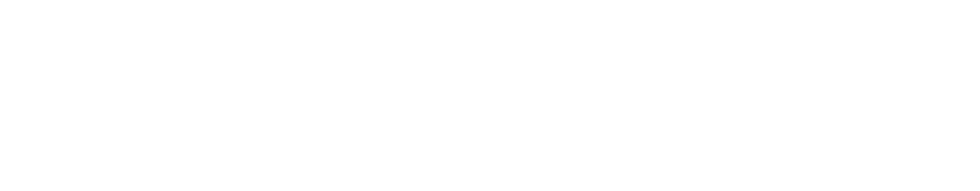 America Counts horizontal logo, reversed for dark backgrounds